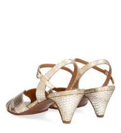 A8643 Højhælede Sko, Gold Snake, 41