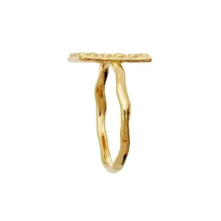 Aida Ring, Gold Plated, 57