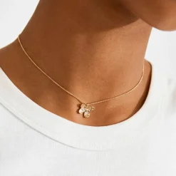 Ajani Halskæde, Gold Plated, 40+9 cm