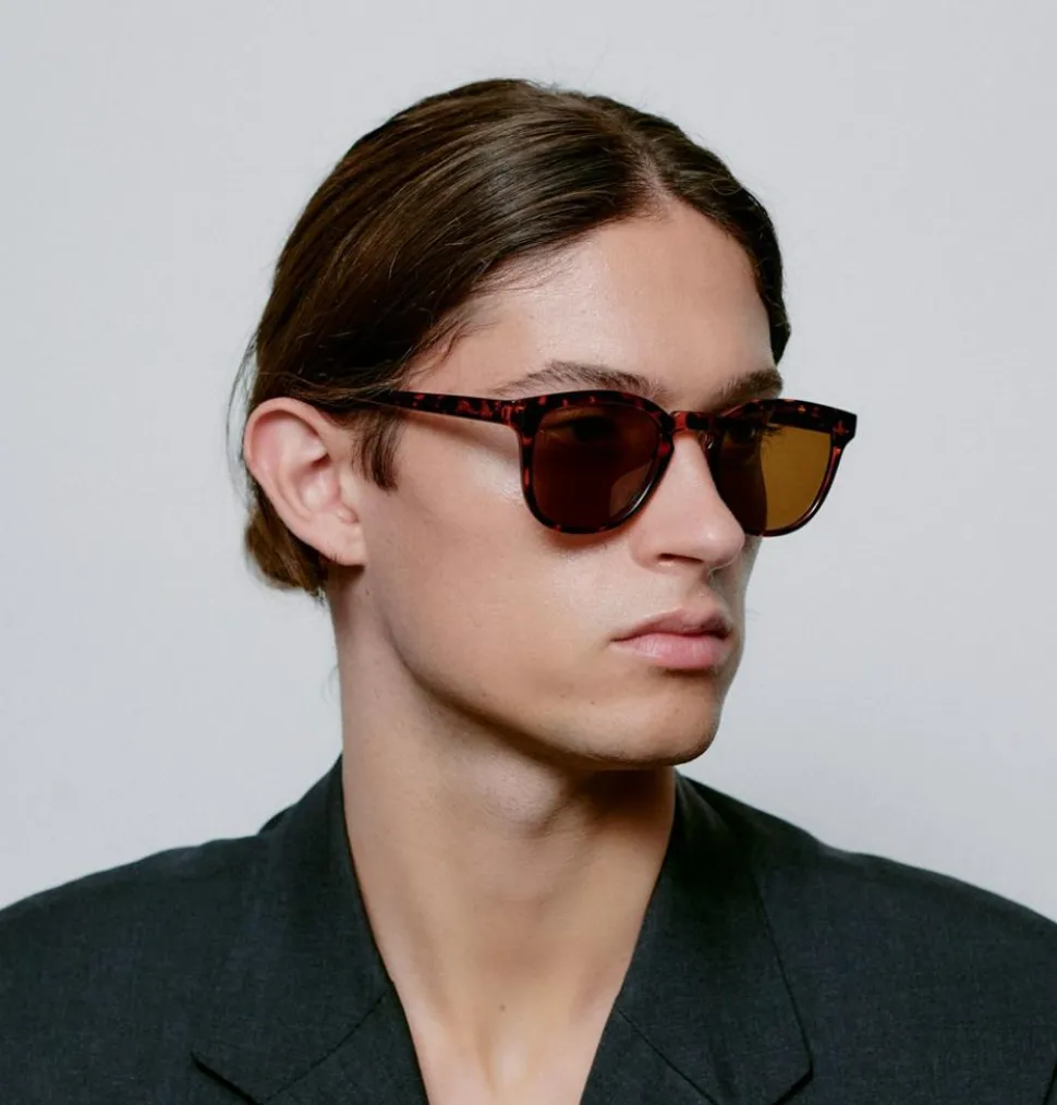 Bate Solbriller, Demi Tortoise