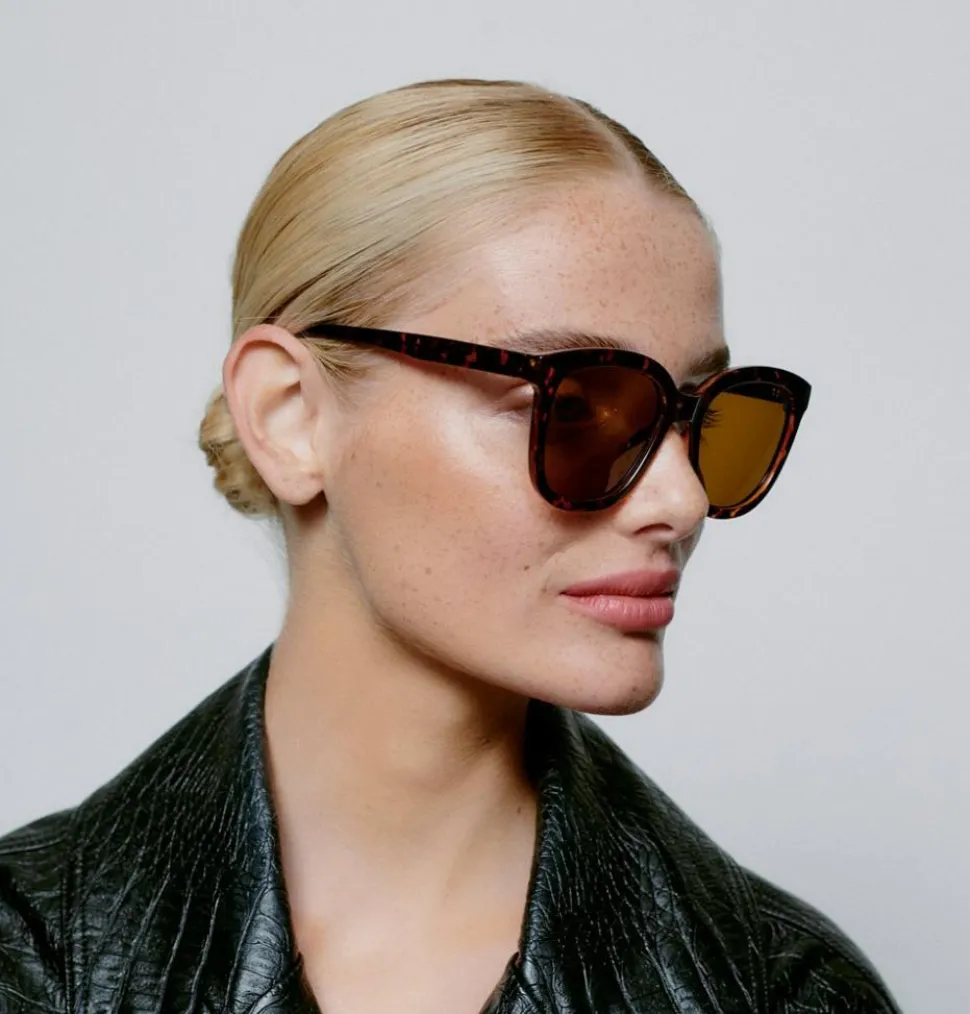 Billy Solbriller, Demi Tortoise