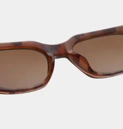 Bror Solbriller, Brown/Demi Light Brown Transparent
