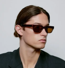 Bror Solbriller, Brown/Demi Light Brown Transparent