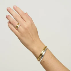 Echo Ring, Mix Silver/Gold, 54