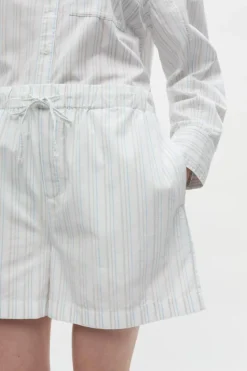 Enpau Shorts, Brindle-Blue Stripe, 40