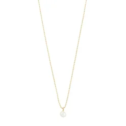 Hadley Halskæde, Gold Plated, 40+9 cm