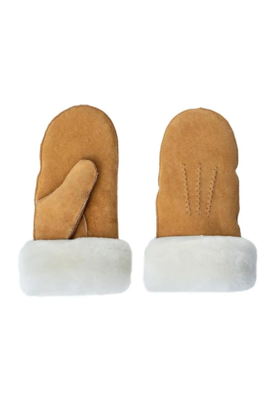 Kasa Vanter, Camel, S