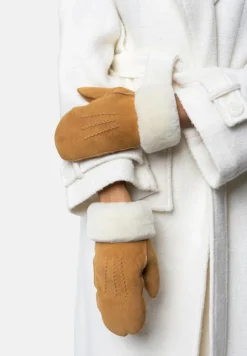 Kasa Vanter, Camel, S