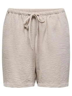 Lion Shorts, Chateau Gray, L