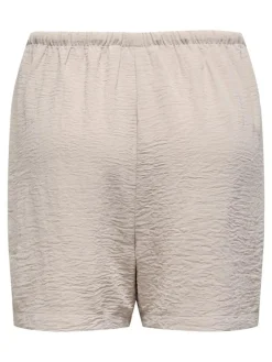 Lion Shorts, Chateau Gray, L