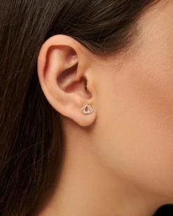 Lotus Ørering, Silver