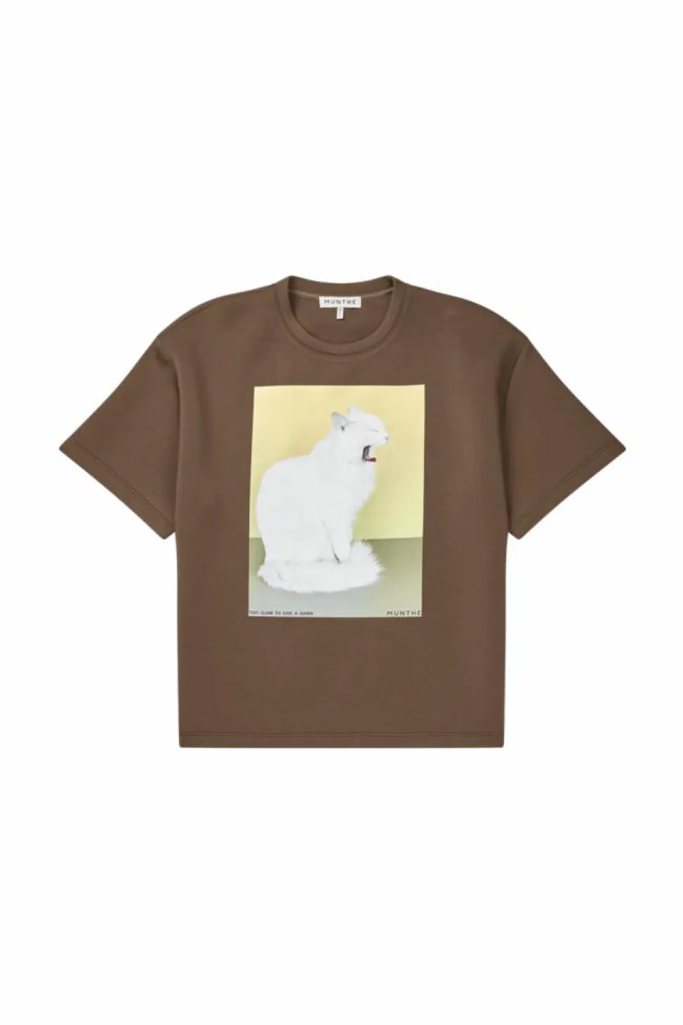 Raploi T-shirt, Brown, 36