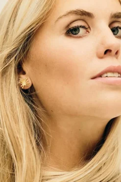 Star Shell Øreringe, Gold Plated