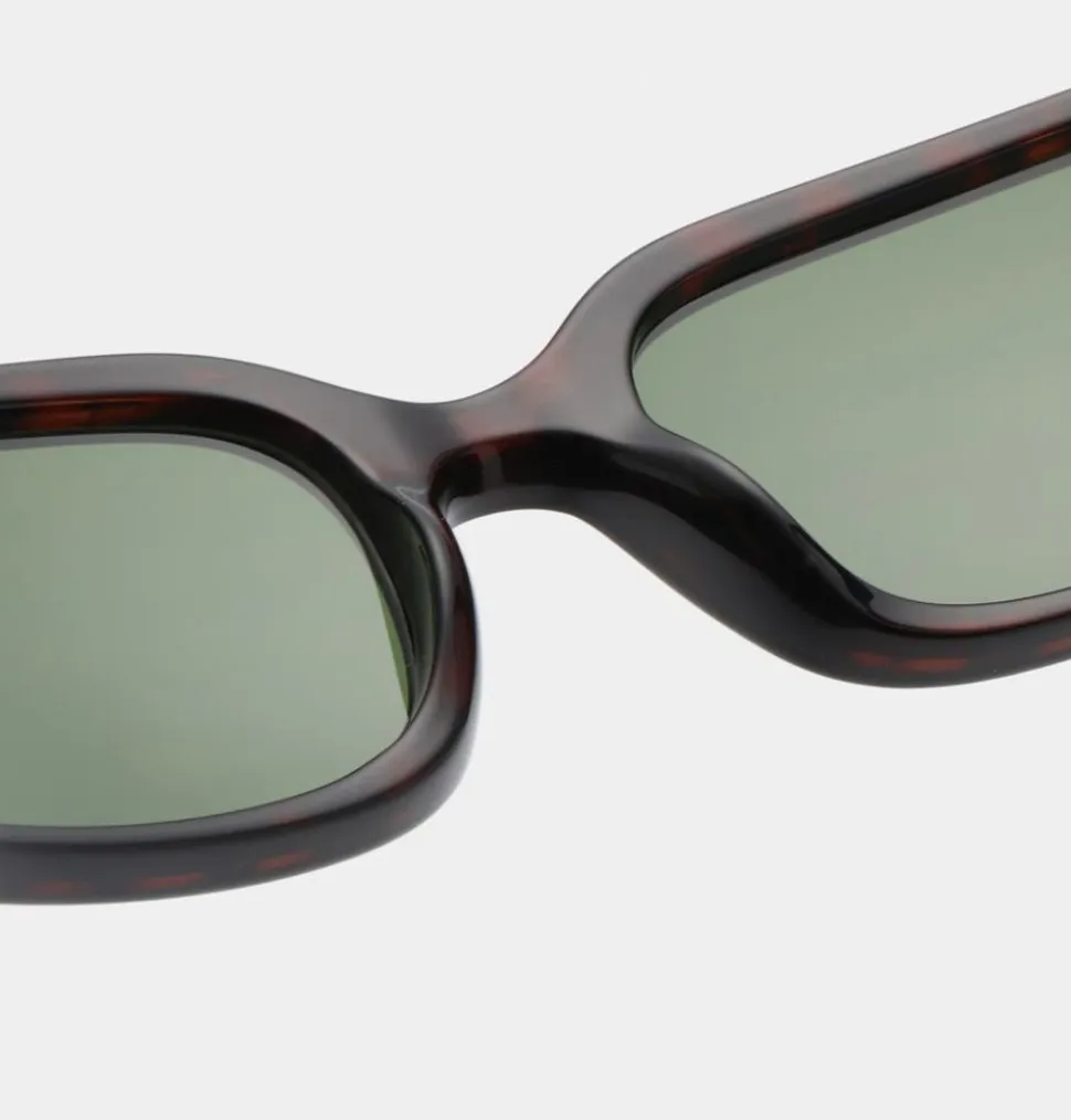 Will Solbriller, Demi Tortoise