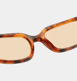 Will Solbriller, Havana